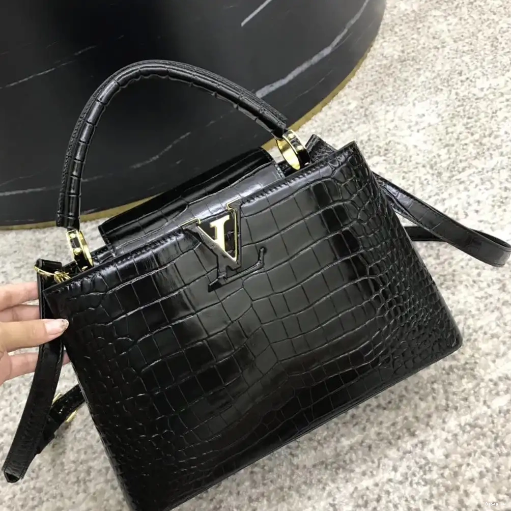 PM LOUIS VUITTON CAPUCINES 0528